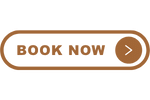 Website buttons